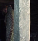 maikamonroe04879.jpg